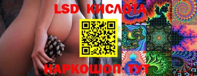 ПСИЛОЦИБИНОВЫЕ ГРИБЫ Среднеуральск